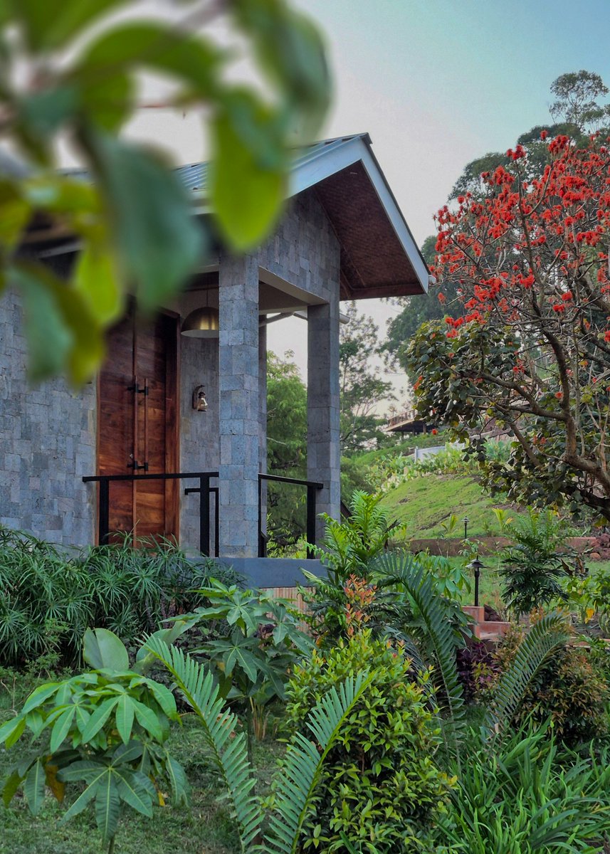 NkuringoSafaris's tweet photo. Mirima Kibale Lodge is open.

Our new home in Kibale, where chimpanzee tracking meets thoughtful hospitality.
#Nkuringo #Mirima #Kibale #Bwindi #Hospitality

Read the story: https://t.co/zKfP7WH4nO https://t.co/jbCP71XR3D
