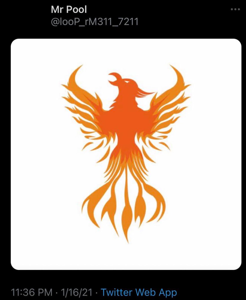 Cryptobilbuwoo0's tweet photo. Hawks &amp; PhoeniX🔥🦅 https://t.co/Qp37SmKxXU