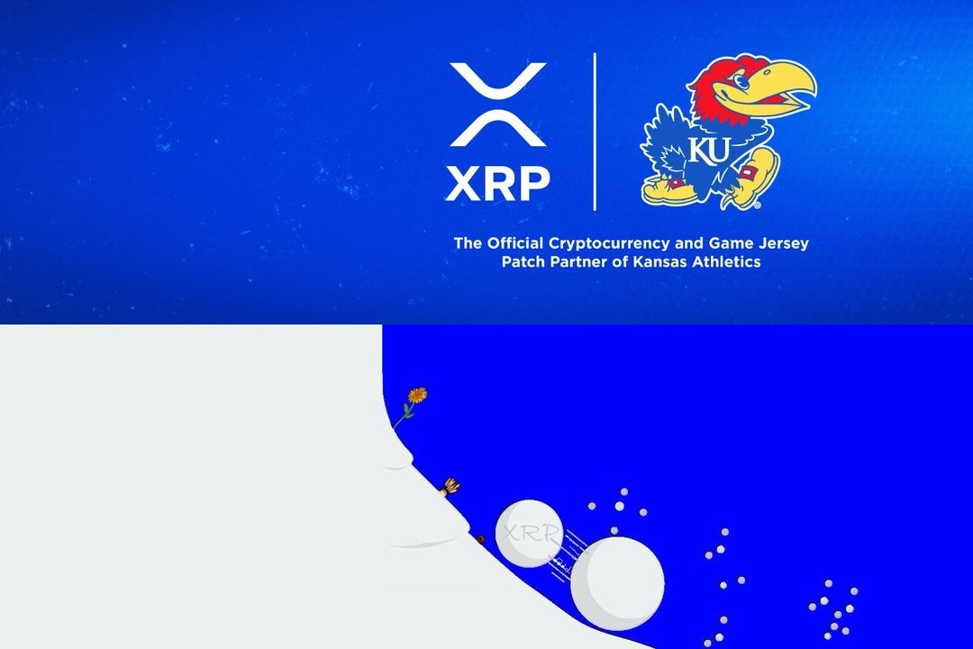 Cryptobilbuwoo0's tweet photo. Hawks &amp; PhoeniX🔥🦅 https://t.co/Qp37SmKxXU