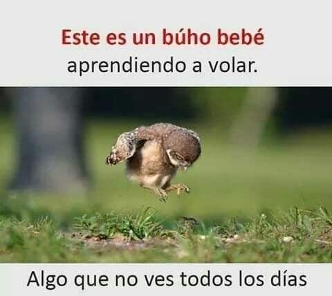 dulcequeentero's tweet photo. https://t.co/MRNV6m0iY5