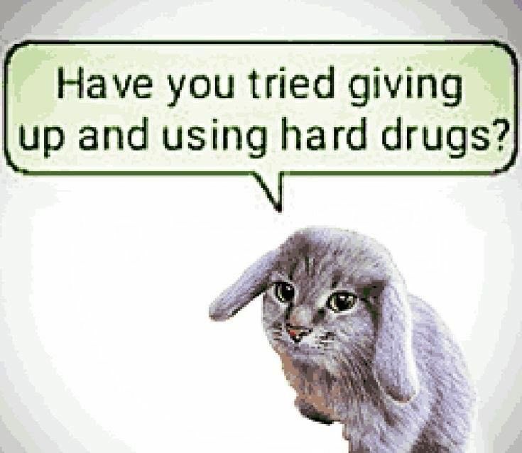 bnuyhophop's tweet photo. Life lately: https://t.co/W0nVDh2v6a
