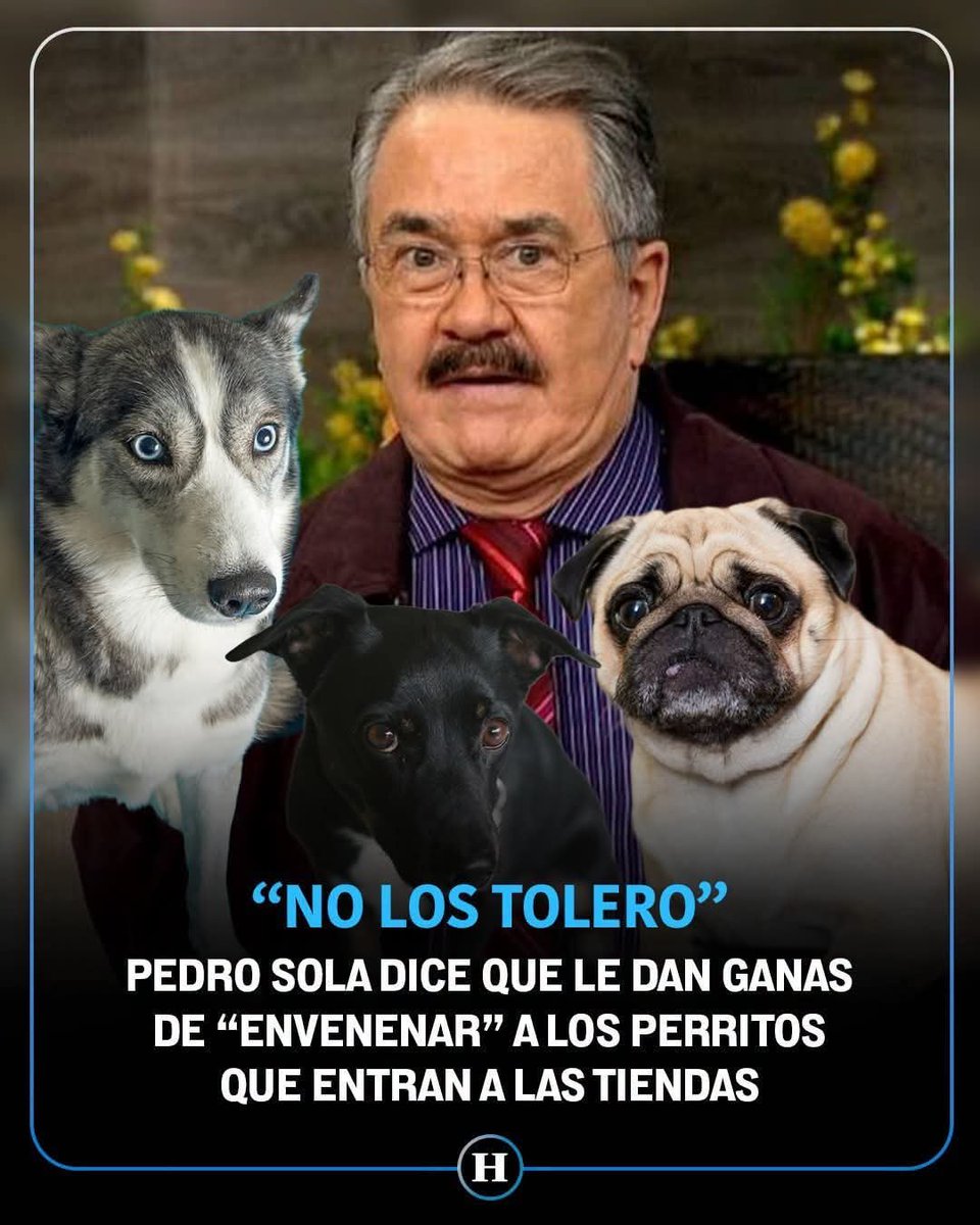 MonyZapataEs's tweet photo. No al maltrato animal!!!!!!!!! 
@RicardoBSalinas
@Azteca
@JavierAlatorre
@Ventaneando
@PatyChapoy
@tiopedritosola https://t.co/vH2UGmXUwl