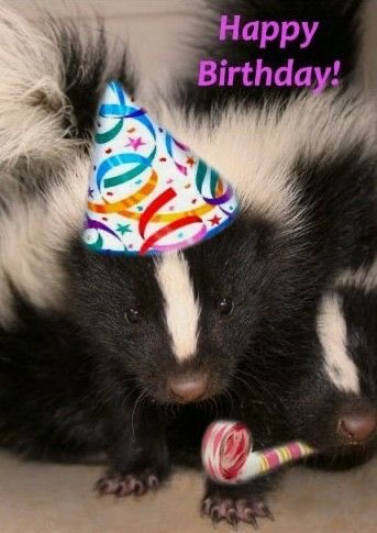 FoxyLoxy2626's tweet photo. I am officially 18...
I big boy now https://t.co/axIFNduSOo