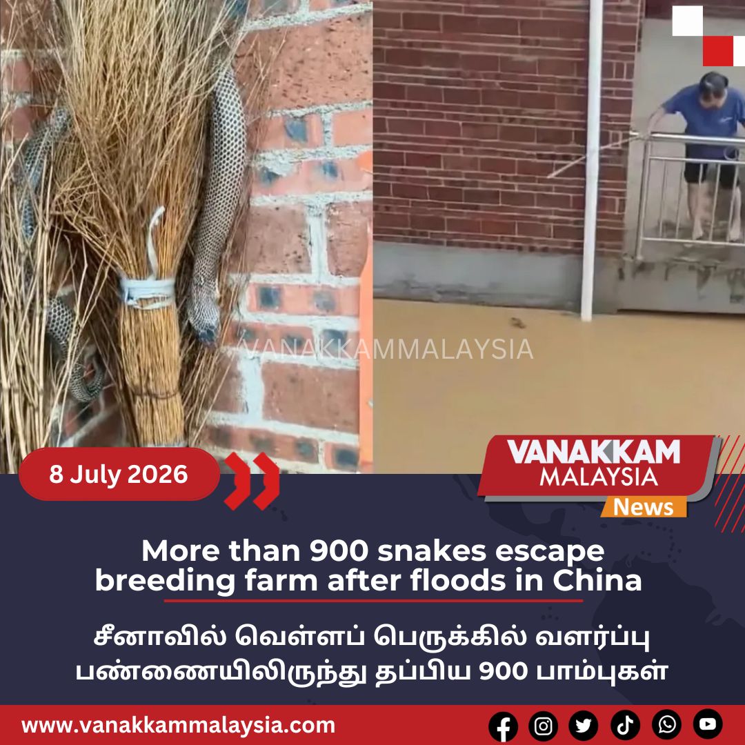 vmnews's tweet photo. More than 900 snakes escape breeding farm after floods in China
#latest #vanakkammalaysia #Morethan900 #snakes #escape #breeding #farm #floods #China #trendingnewsmalaysia #malaysiatamilnews #fyp #vmnews #foryoupage https://t.co/hUon1g9nvB