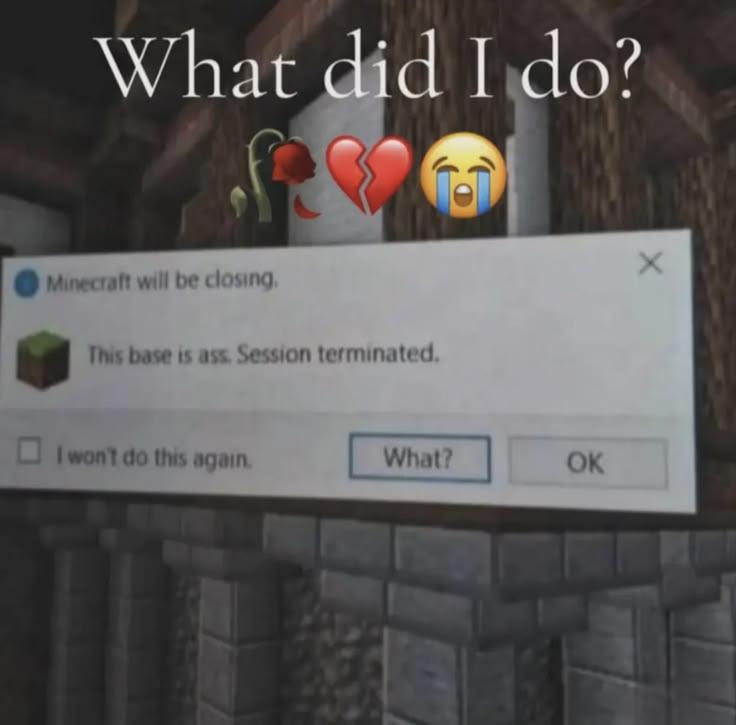 MinecraftMeme16's tweet photo. Bro 😭🥀 https://t.co/RjPaTWkg0L