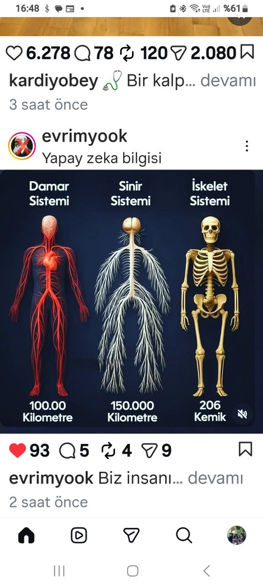 deepocean33's tweet photo. @KPehlivano85093 Bir damla sudan seni yaratan tekrar bunları yaratmaya Muktedir değil diyorsun? İlginç https://t.co/PihBW0GSIp