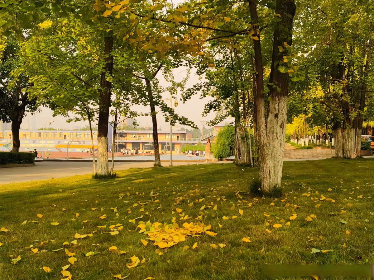 KatiVital's tweet photo. It’s a crisp sunny autumn morning—perfect for a walk with a warm latte in hand! ， https://t.co/dx5J9mGNw1