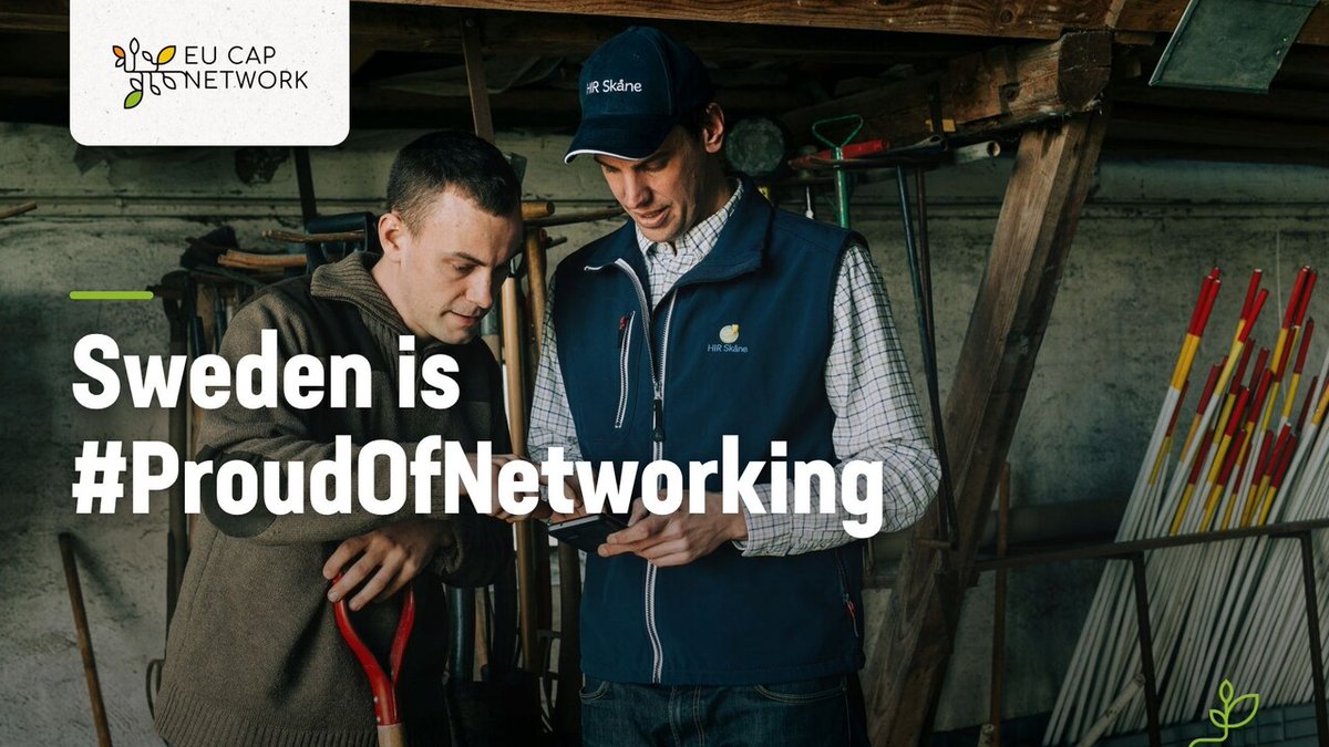 eucapnetwork's tweet photo. 🤝 #ProudOfNetworking campaign 2026

The Swedish National Network’s “Ready to be counted” campaign showed rural areas’ role in preparedness and member organisations’ work. It included 49 articles and livestreams reaching 1,800 people.

More info: https://t.co/FJc1cZTOlA https://t.co/oW6ttiWtj5