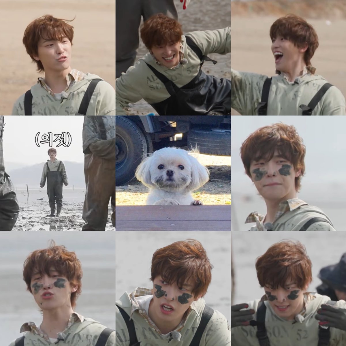 dding_813's tweet photo. ㄹㅈㄷ 꼬질 강아디 https://t.co/to1eAeRRLl