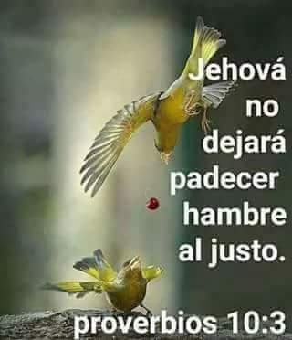 AlexSotoVives's tweet photo. #Jesucristo #YLaVerdadOsHaraLibres #Biblia #IglesiaDeDiosChiapaDeCorzo https://t.co/enKCB4RfBH