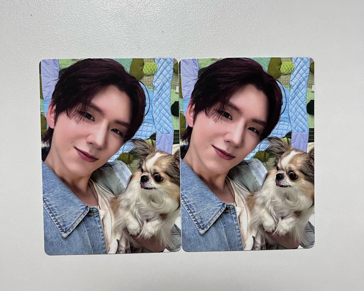 hammjinni's tweet photo. 아니 ㅁㅊ 중복이라고...?!! 앨범깡 다하고 정리하는데 봉포자이 하나 더 나옴..나 로또 사야되나? https://t.co/jnFH2TzYCq