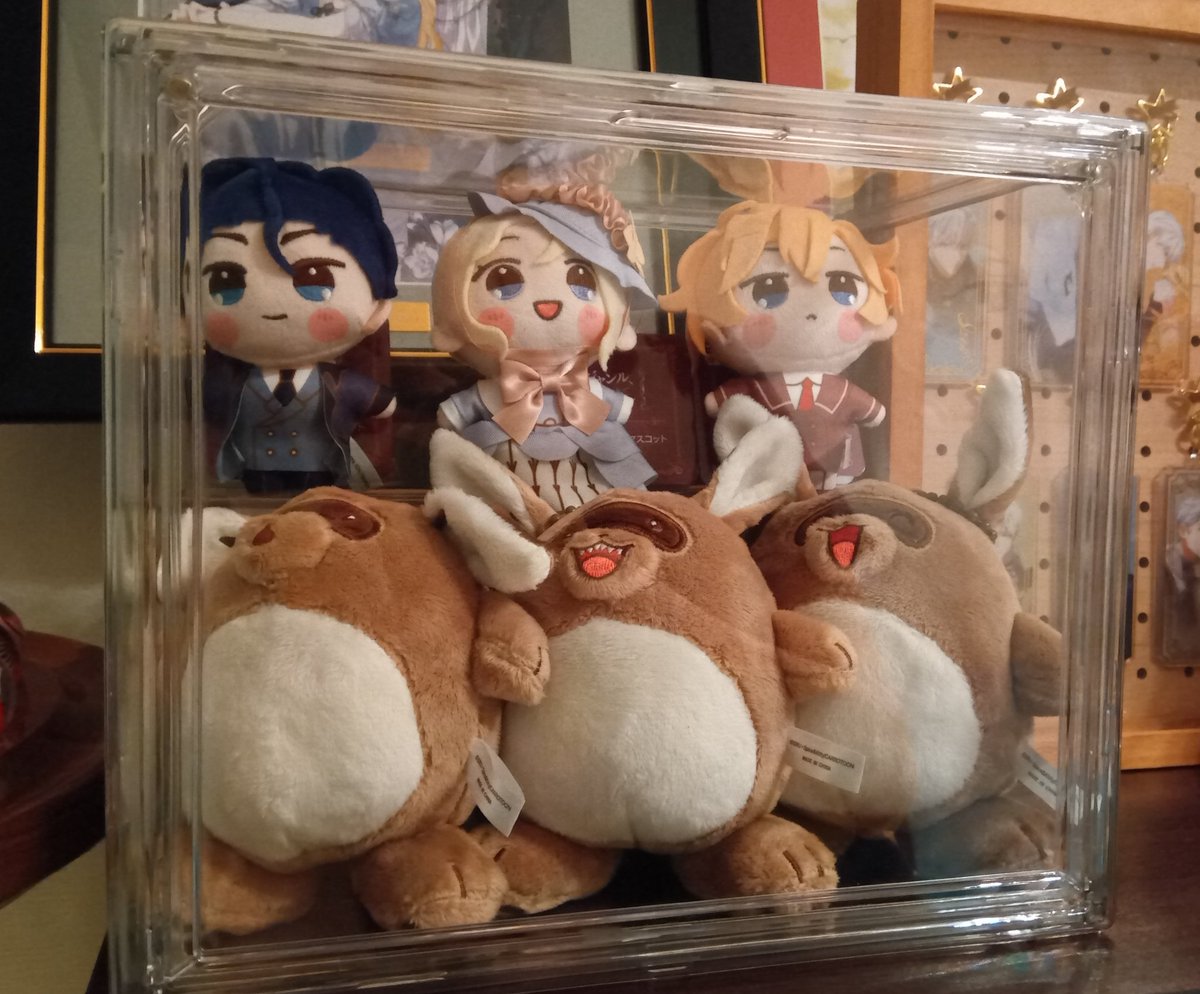 ぬいぐるみ入れたケースも、缶バッジ入れたケースも、DAISOで購入