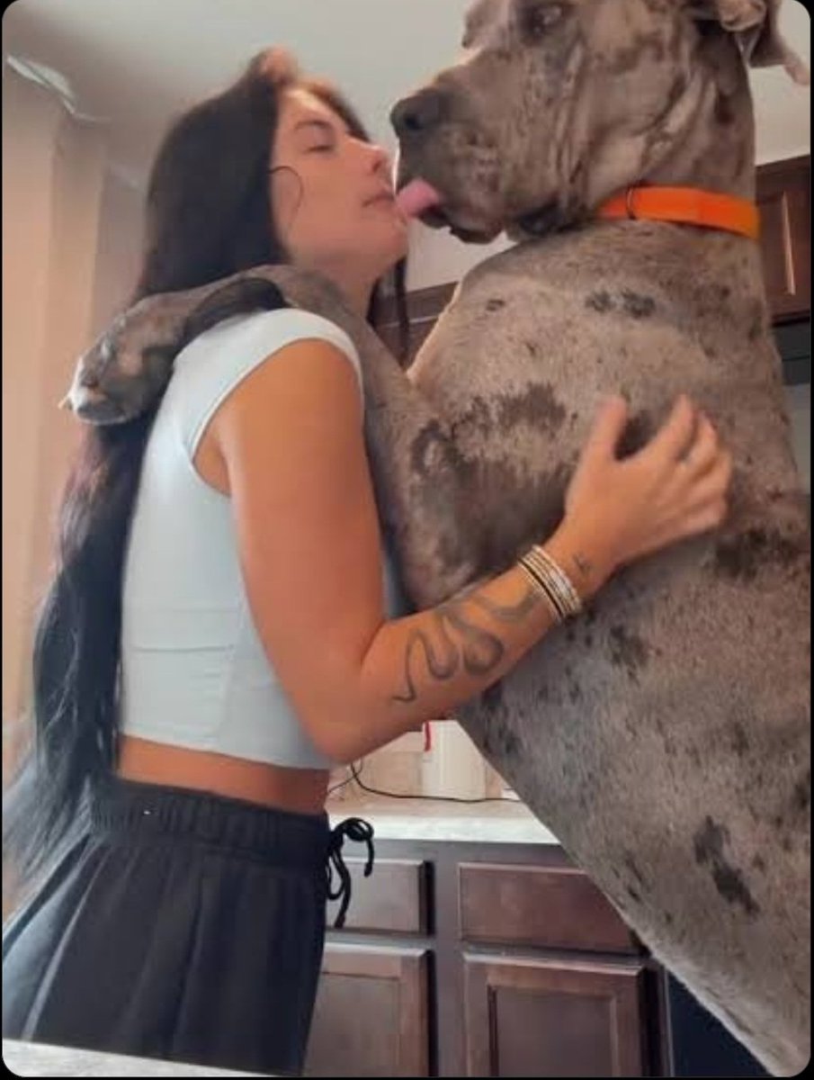 Silestoknot's tweet photo. Zoo model who gives pleasure to her dogs because she likes it so much dog!🥰🐾 #Dogwhore
#dog
#usa 2026 https://t.co/5tH7O5iTYy