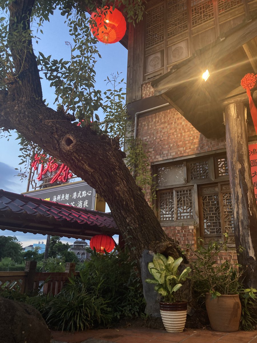 olizaytun's tweet photo. Just pulled into Chiayi and already found paradise on the way back. Palace-level decor, hundreds of fish gliding through, and food that matches the vibe. This place is next level. Best detour ever! 🇹🇼 https://t.co/HSpXJCJU8L