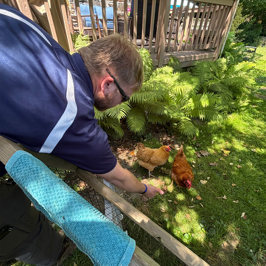 CallMattioni's tweet photo. Just conducting a quick peck-formance inspection before getting back to work 🐔 https://t.co/lk2dRFmbh3