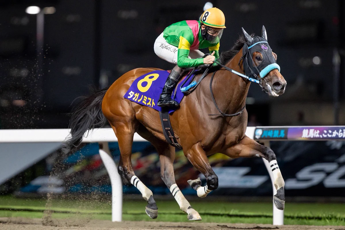 川崎競馬 on X: 