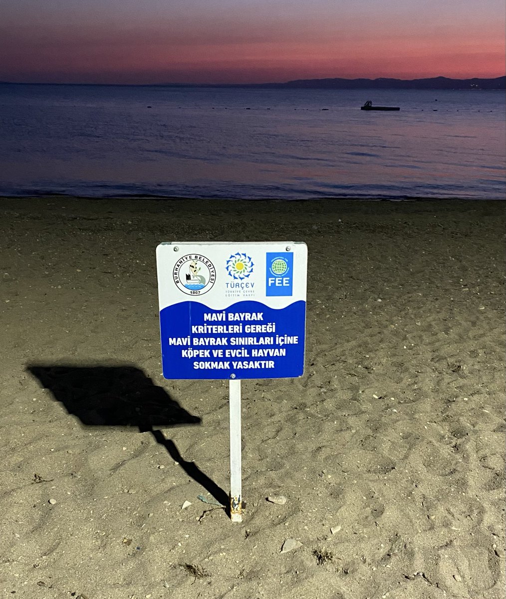 FUATUGUR's tweet photo. İşte budur.
Dün gece Burhaniye Gemi Yatağı sahilindeki halk plajında bu tabelayı gördüm ve çok memnun oldum.
Burhaniye Belediyesi’ni kutlarım. 
Diğer tüm belediyelerin plajlardan köpekler ve diğer evcil hayvanları uzak tutmasını bekliyorum. https://t.co/FyC9Z2klS0