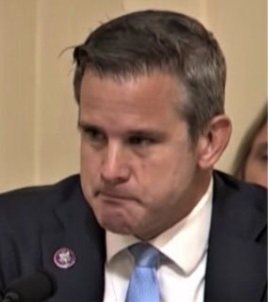 shagy305's tweet photo. @AdamKinzinger https://t.co/BzH9Dxanr4