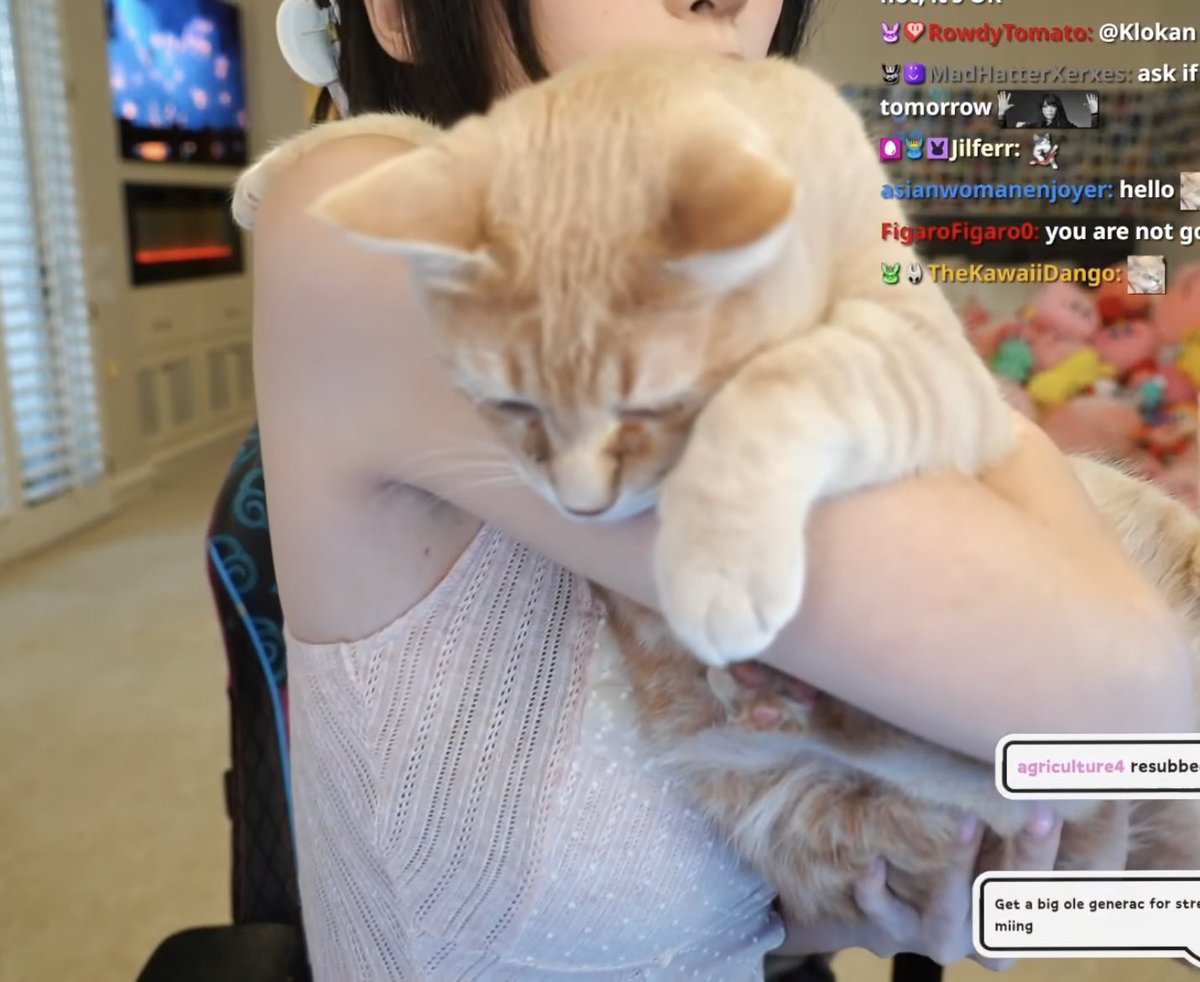armpit_moe's tweet photo. Well... I mean, that's a really cute cat. https://t.co/F5MlhBZKX3