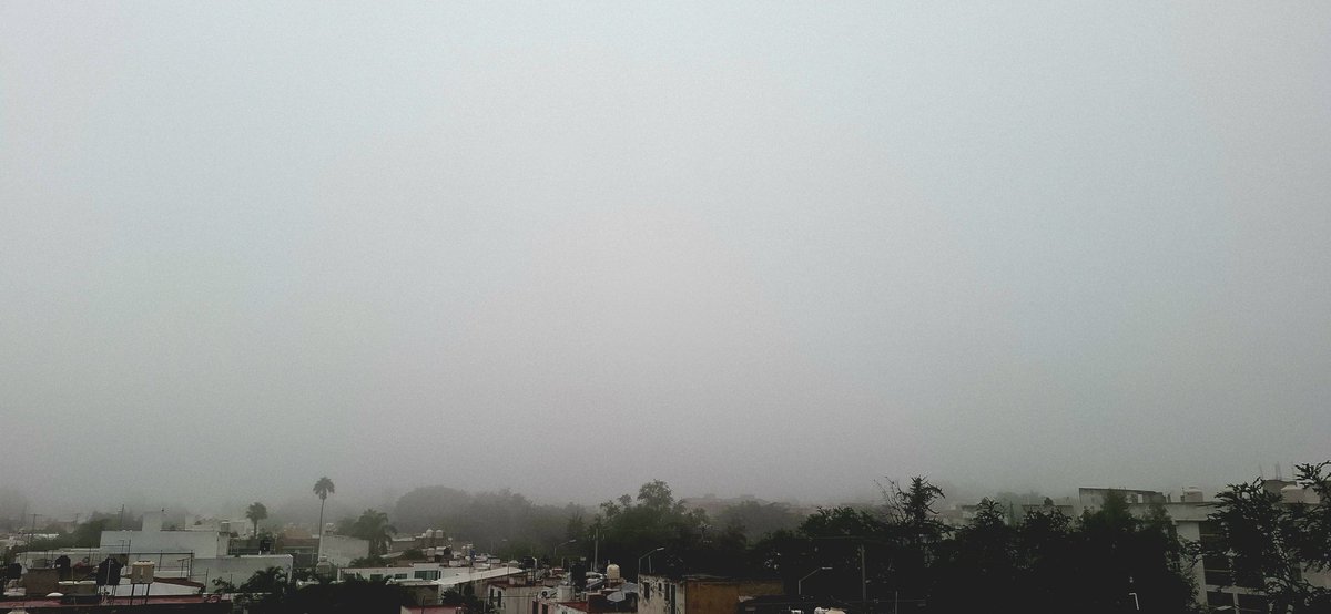 sar2's tweet photo. Después del lluvioso amanecer, mañana neblinosa https://t.co/no26Jdxksj