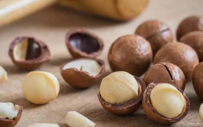 MacSMdotOrg's tweet photo. Kenya’s macadamia sector faces rejected shipments, KES 50 per kilogram prices in some areas, and urgent pressure to strengthen quality control and traceability. #exports #kenya #macadamia #traceability
Link in Bio
Image from Source Article https://t.co/9GA8cHnyua