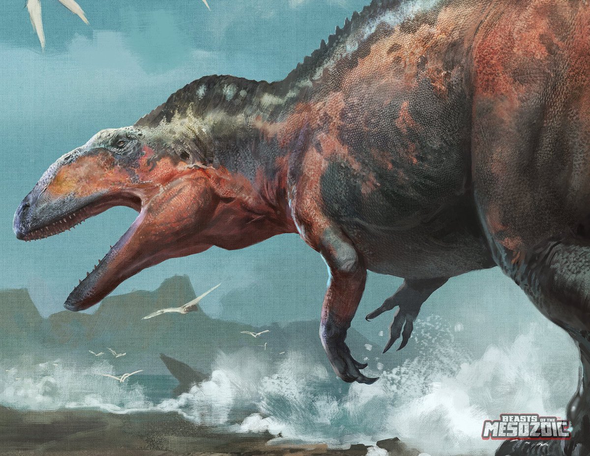 Beast_SculptKit's tweet photo. Finishing up the package art reveals for the upcoming Beasts of the Mesozoic 'Acro wave' is none other than the high-spined lizard himself- Acrocanthosaurus atokensis! Raph Lomotan once again delivers and epic art piece. Preorder the figure at: https://t.co/M61obsVLEP https://t.co/RPUhWwnMqm
