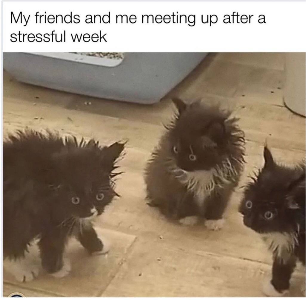 SpillTheMemes's tweet photo. 😂 https://t.co/KS2KRokAIb