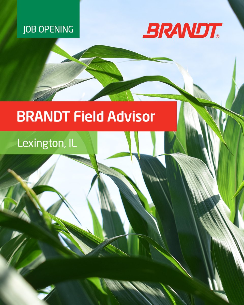 BRANDT_co's tweet photo. Our BRANDT Agronomic Services team continues to grow. We’re looking for a Field Advisor to join our Lexington, IL location to help support growers and maximize their production through product and agronomic insights. 

Apply today: https://t.co/asqyKTXDHp https://t.co/p77Lq03NRo