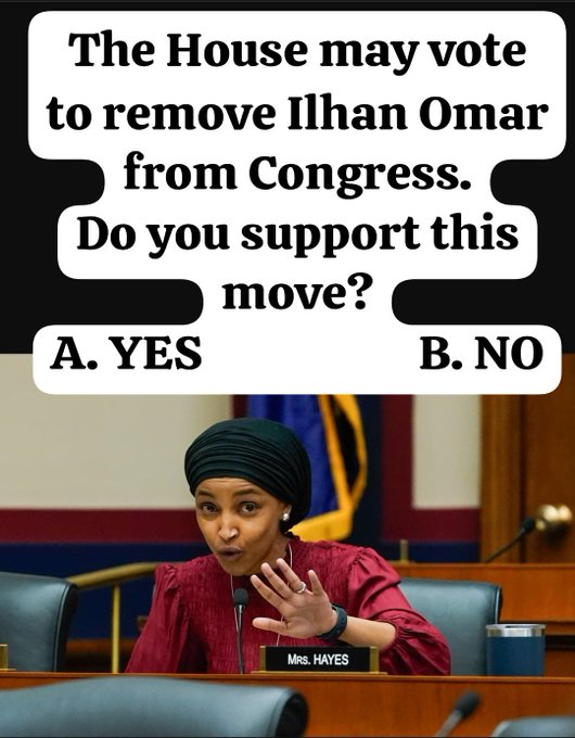 Tina27pu's tweet photo. The House may vote to remove Ilhan Omar from Congress.

Do you support this move?

A. YES   B. NO https://t.co/3TZDaMX6JH