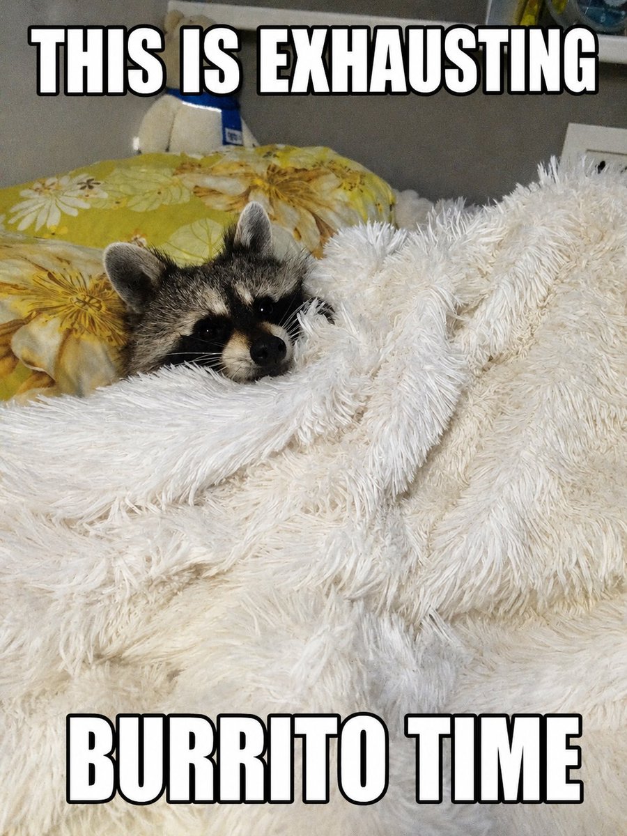 MisaChapters's tweet photo. @Lunelle_Valko Chronic fatigue doesn’t give me a choice lol

I just alternate between insomnia and hypersomnia 😭🫠 (and anxiety definitely doesn’t help either)

#BringValkoBack #KeepValkoAlive #Valko #JusticeForValko #恋与深空 #SaveValko #BringBackValko https://t.co/7ToPLg8e6v