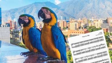 ermartinezd's tweet photo. Celebremos la vida

Por Eduardo Martínez
En un poema de Becquer encontramos el ánimo para celebrar la vida. Es lo mínimo que podemos hacer por nosotros mismos, por los que nos acompañan, y también por los que se fueron. Para leer: https://t.co/xnaeRD2DNS https://t.co/YRvrGAVsAG