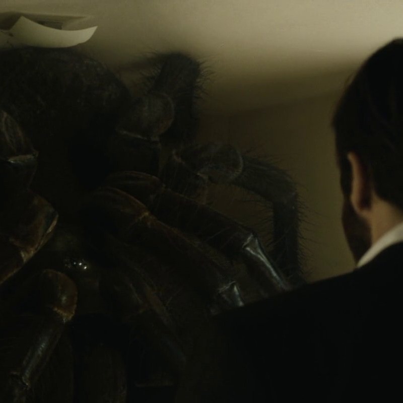FarOutCinema's tweet photo. Enemy (2013) Director: Denis Villeneuve https://t.co/VxRjXob1dG