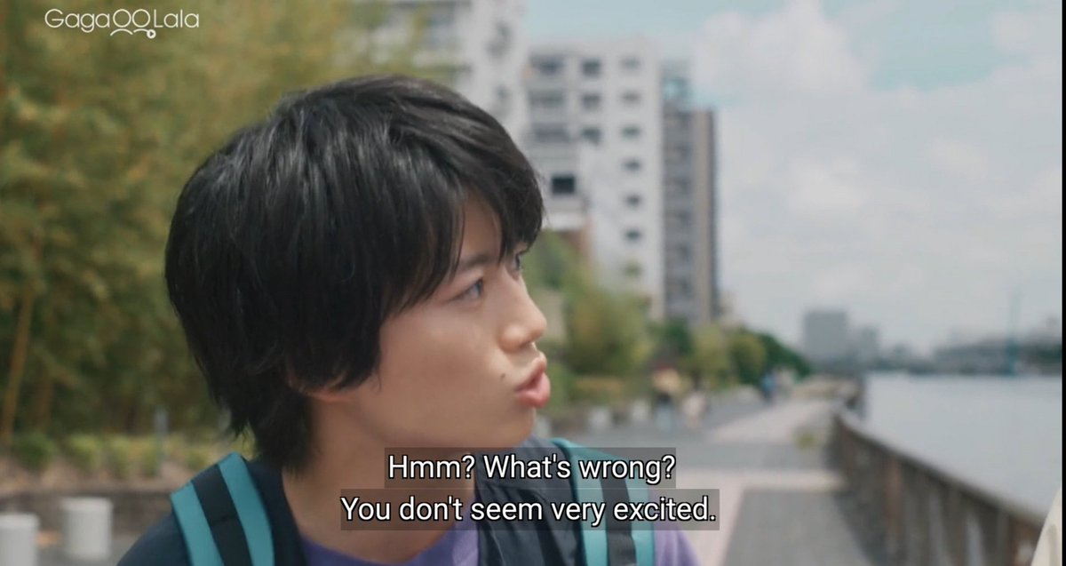 qriselsav's tweet photo. SAEKI CAN'T EVEN STAY STILL NOT TO SEE WATARU FOR FEW DAYS🤭🤭🤣

He is so clingy🤭, Wataru we know you like it, come on tell us😊😊

#mysummerofyou
#君は夏のなか https://t.co/nGQ85IYuOG
