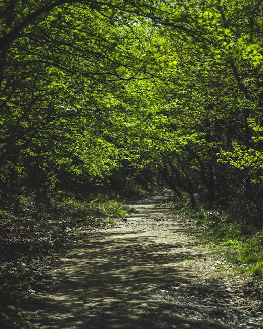 XBernstein33774's tweet photo. 🍃 https://t.co/nE95Eqj7sx
