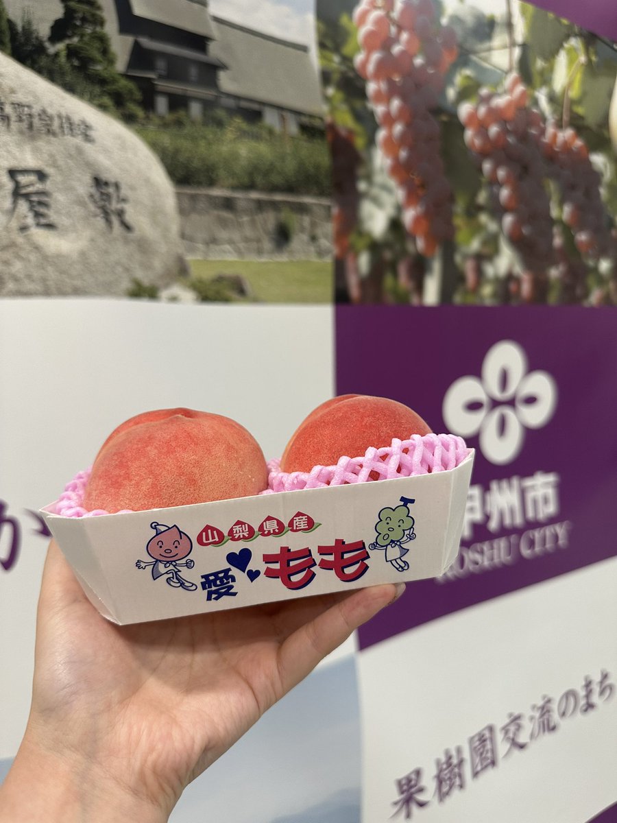 yamamomo0211's tweet photo. 【お知らせ】甲州市フルーツ娘3期目を務めさせていただきます!!🍑
ありがたいことに活動継続します！
お仕事の兼ね合いで中々県外への活動に参加できていないのですが、また2年間、甲州市のPRを頑張ります！
山梨県内ではサンクスデーや新酒祭り、ぶどう祭り等でPR活動をします🍷🍇
皆さんその際はぜひ遊びに来てくださいね！

#山梨 @koshu_kankou