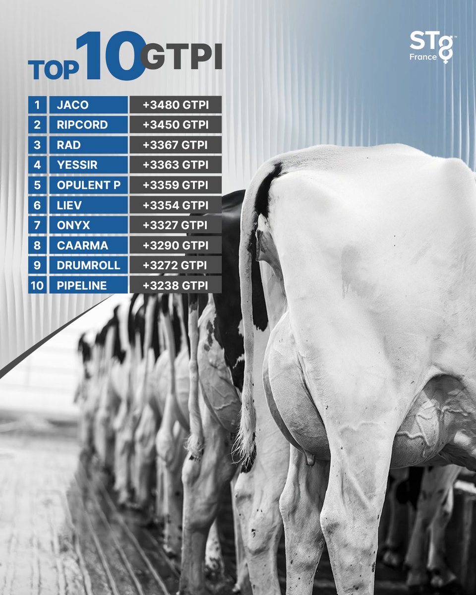 stgeneticsfr's tweet photo. Top 10 des taureaux génomiques pour GTPI !
STgenetics France dispose d'une sélection de taureaux d'élite dans l'index GTPI
Tous nos taureaux sont disponibles en 4M™.
#STgeneticsFrance #TPI #STgenetics #4M https://t.co/WD6tpeLbWs