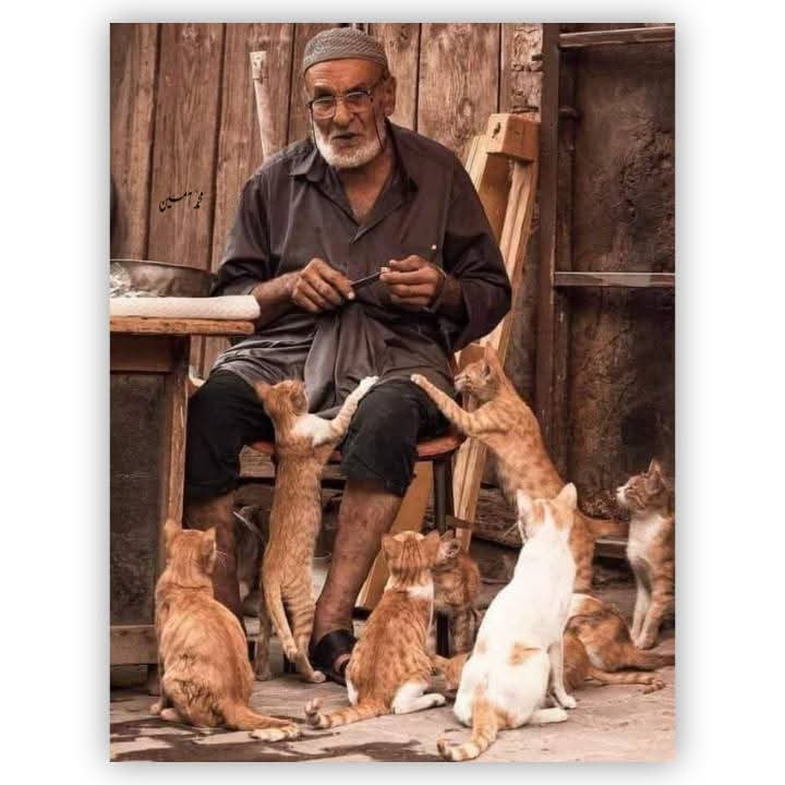 Masher79442's tweet photo. تُم جو دیتے ہو، وہ تُم نہیں دیتے، 
تمہیں دینے کی توفیق بھی، دینے والا دیتا ہیں،🌸🌝 https://t.co/shr6vgZiBE