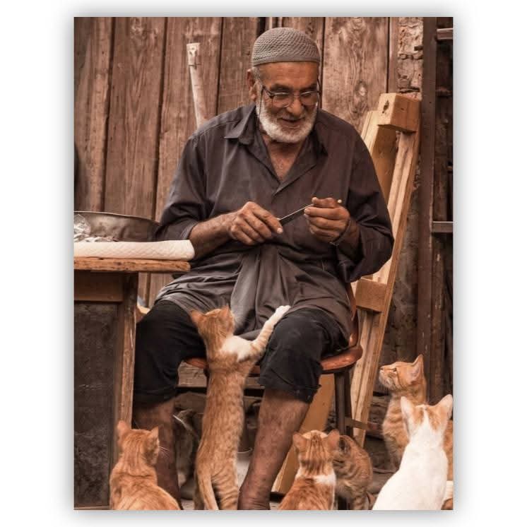 Masher79442's tweet photo. تُم جو دیتے ہو، وہ تُم نہیں دیتے، 
تمہیں دینے کی توفیق بھی، دینے والا دیتا ہیں،🌸🌝 https://t.co/shr6vgZiBE