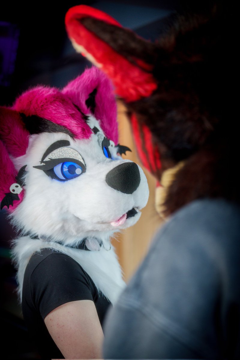 Arourasnowfloof's tweet photo. The only one i have eyes for~💖🦌

📸 @TechWolfPhotos https://t.co/5UtMSX0IyY