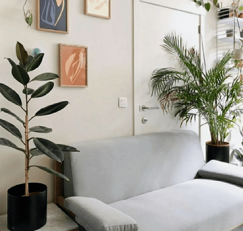BTRsCupcake's tweet photo. Just finished folding the fresh laundry on the couch, and that soft clean fabric scent is already making my small apartment feel so warm and cozy https://t.co/YJl13ImiC5
