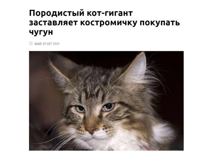 abstruse_cook's tweet photo. А вот ещё случай был https://t.co/eINir4bAkG