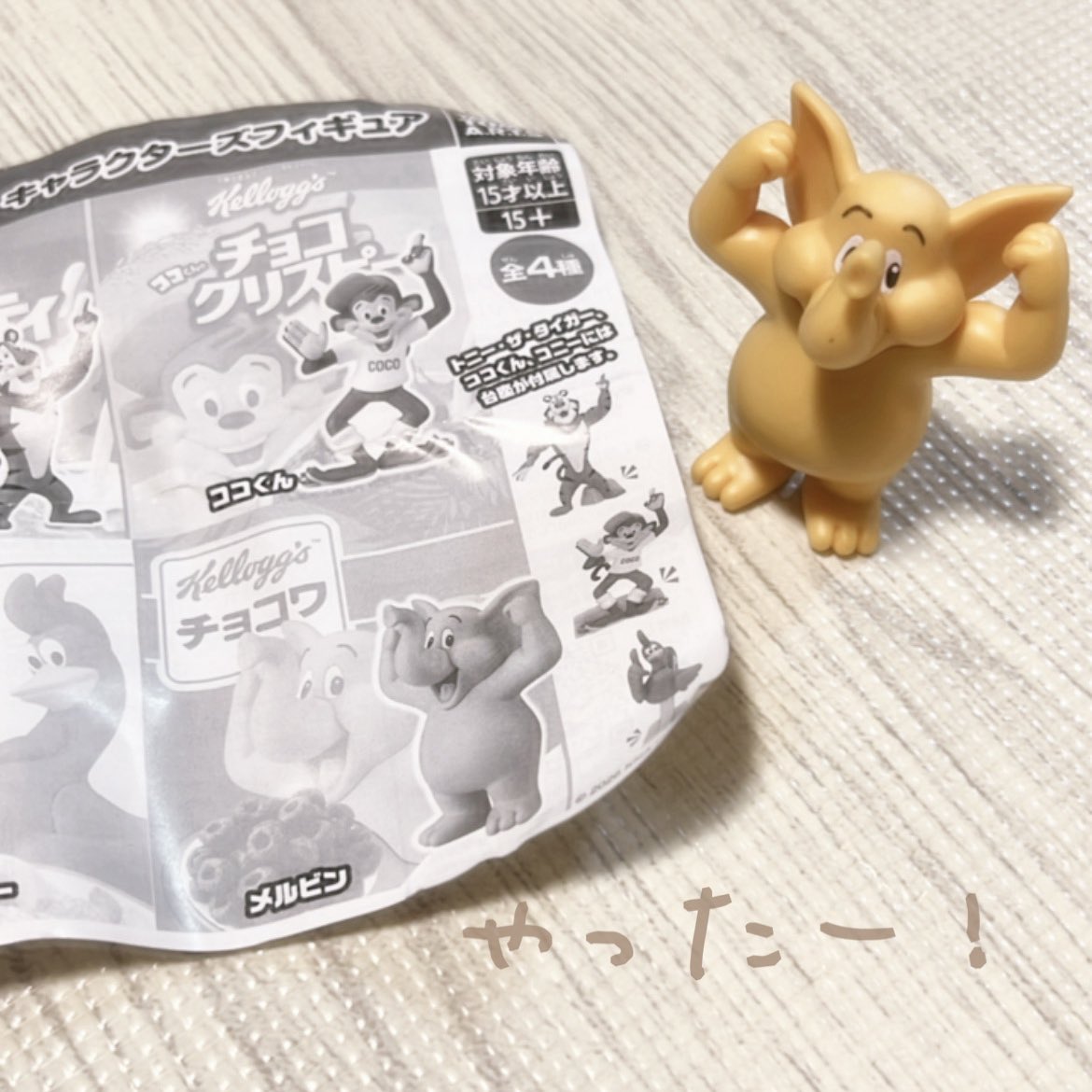 chiericess26's tweet photo. 欲しくてまわしたら出てくれた！！！
こやつ好きすぎてしぬ！
私にとってチョコワはずっとメルビンだし、チョコクリスピーもチョコくんなのよ...
わかる人はお友達 https://t.co/eBKQC6rvjh