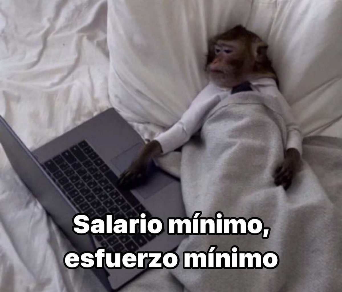 Frases Barbie tweet media