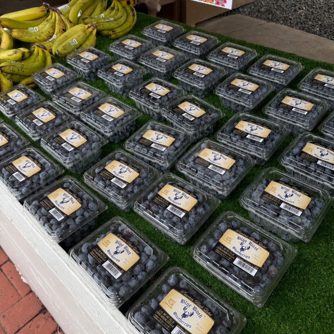 SJTA_official's tweet photo. July 8 marks National Blueberry Day! On your Atlantic City Expressway journey, stop at Ron’s Garden (milepost 21.3) for delicious blueberries, flowers, and other delicious fruits!

#SJTA #ACX #RonsGardens #NationalBlueberryDay https://t.co/5m51EDc2kw