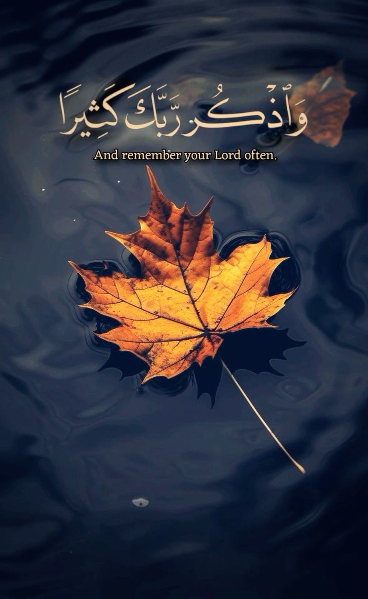 111zikr_'s tweet photo. #مساءالخير 🍂 https://t.co/EiAek2nZ7D