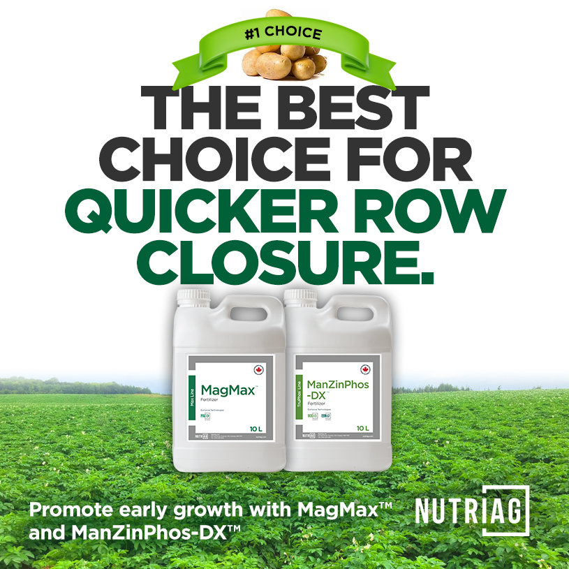 NutriAg's tweet photo. Row closure is key for potato canopy development! 🥔

As plants fill the row, nutrient availability matters. MagMax™ + ManZinPhos-DX™ provide Mg, B, Mn, Zn &amp; S to support photosynthesis, energy production &amp; continued growth.

Ask your NutriAg advisor about your mid-season plan! https://t.co/agyuWs7vJQ