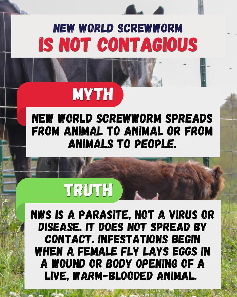 Texas Animal Health Commission tweet media
