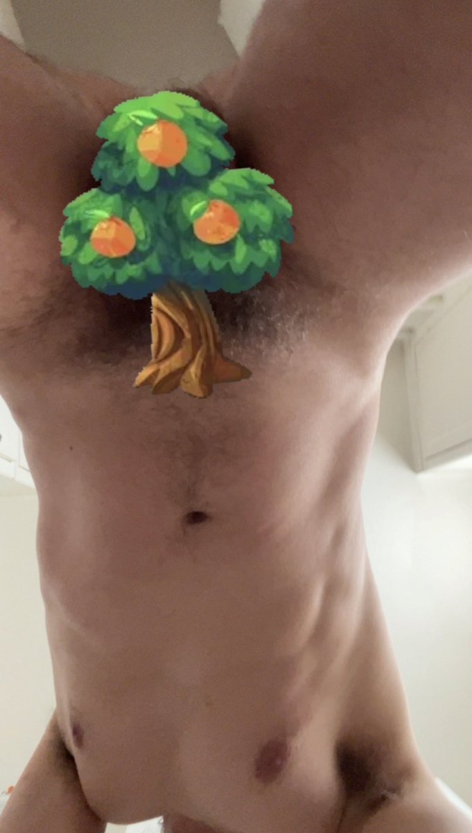 BambamVincent's tweet photo. Impeach my bush https://t.co/b9tPpTMLzI
