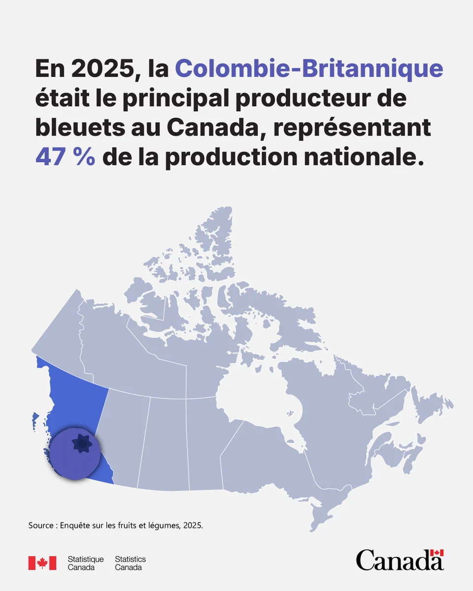 En 2025, la Colombie-Britannique était le principal producteur de bleuets au Canada, représentant 47 % de la production nationale.