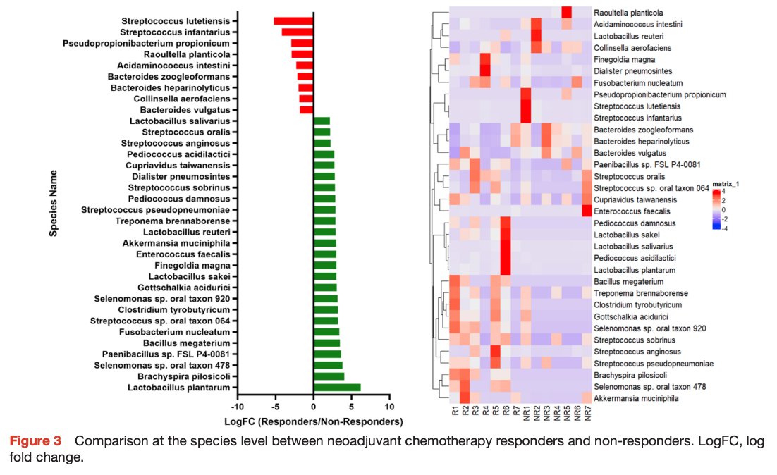 Gut_BMJ's tweet photo. New #GUTScience paper by Halle-Smith et al entitled
"Gut microbiome composition is associated with response to neoadjuvant chemotherapy in pancreatic ductal adenocarcinoma patients" via
https://t.co/DJBfeCp05e
#OA #PancreaticCancer @druppygill https://t.co/ZtmXgkHyb9